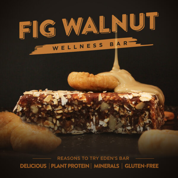 Fig Walnut wellness Bar