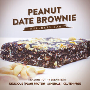 Peanut Date Brownie Wellness Bar